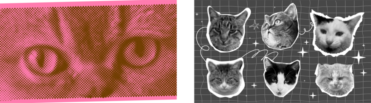 半色调效果的趣味猫头。潮流复古Y2K风格宠物、搞怪表情动物、波普美学。由元素构成的Meme风朋克拼贴猫头。不同角度、不同姿势的猫、动物、宠物